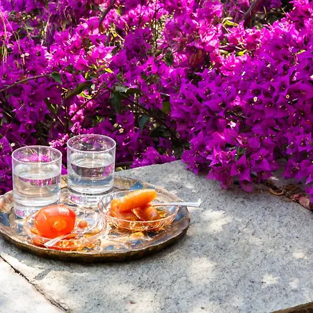 Annelies Pelion Villa Káto Lekhónia