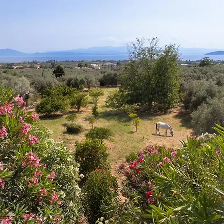 Villa Annelies Pelion *