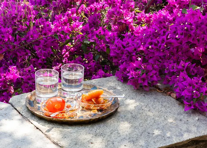 Annelies Pelion Villa Káto Lekhónia