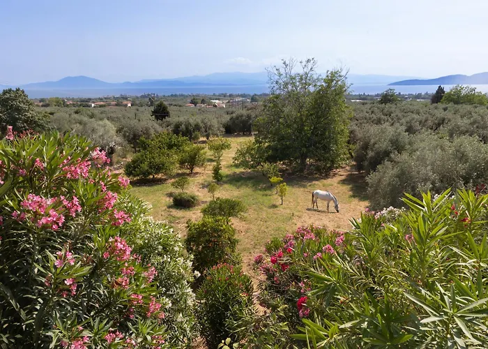 Villa Annelies Pelion *